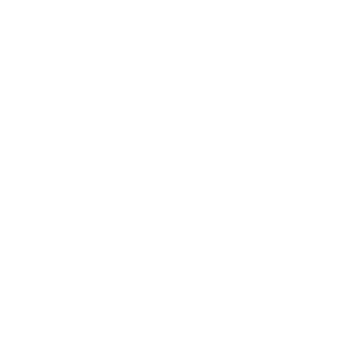 Icons-42Crunch_42-Wall White