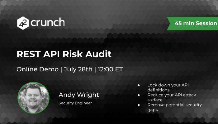 Rest-API-Risk-Audit-Online-Demo-July-2022-social
