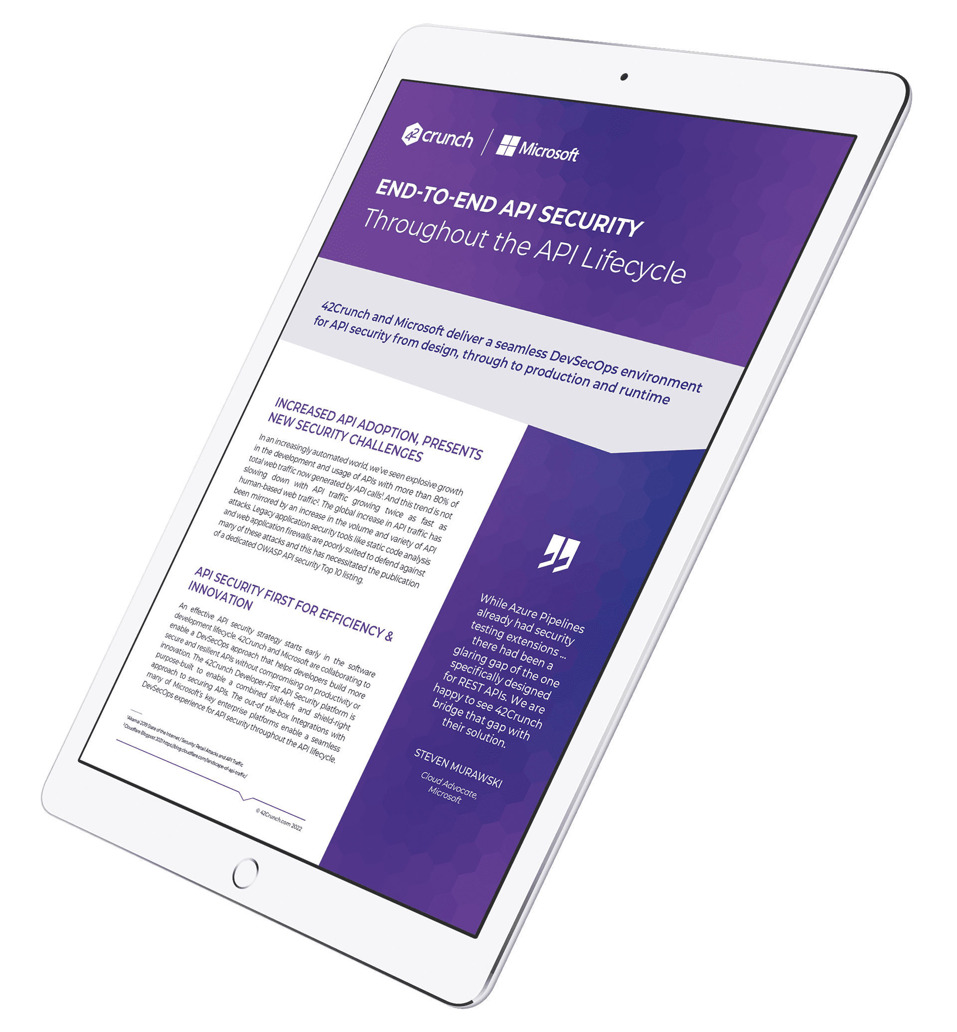 Microsoft Datasheet Mockups 2 copy