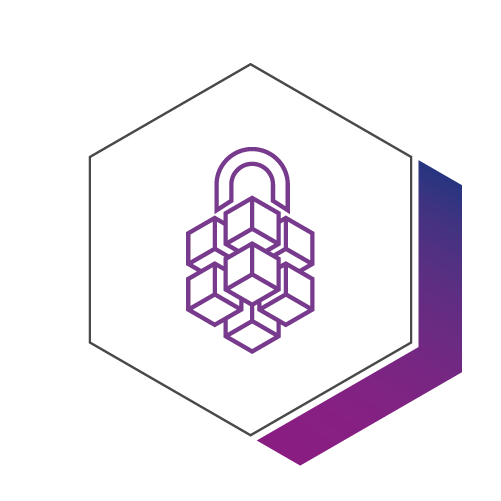 icon_API Secure