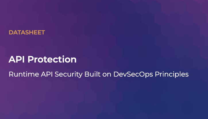 API Protection Datasheet Thumbnail