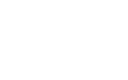 Bridgestone white